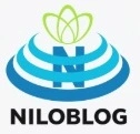 پویان قهرمانی گیتاریست